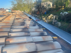 Photo de galerie - Couverture - Toiture