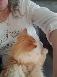 Photo de galerie - Pet sitter