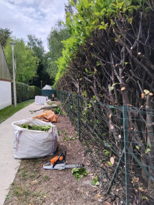 Photo de galerie - 72m de laurier palme qui dépassaient de 1m sur le chemin communal...