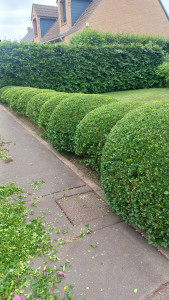 Photo de galerie - Jardinier