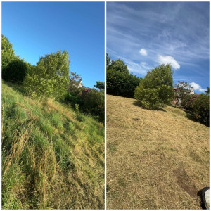 Photo de galerie - Tonte de pelouse - Débroussaillage