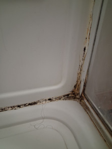 Photo de galerie - Changement de joints silicone douche, avant