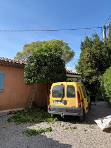 Photo de galerie - Pendant mon intervention 