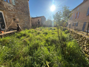 Photo de galerie - Tonte de pelouse - Débroussaillage