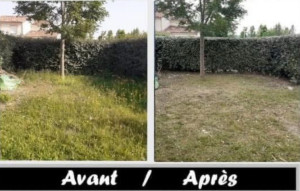 Photo de galerie - Tonte de pelouse - Débroussaillage