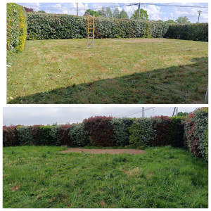 Photo de galerie - Taille haie bocagère 