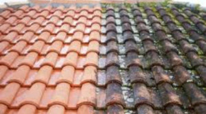 Photo de galerie - Nettoyage hydrofuge toiture avant après 