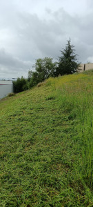 Photo de galerie - Tonte de pelouse - Débroussaillage