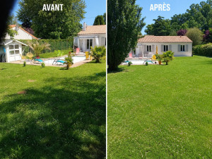 Photo de galerie - Tonte d'une pelouse et entretien de jardin 
