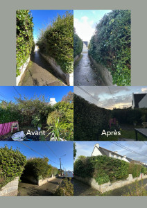 Photo de galerie - Taille de haie