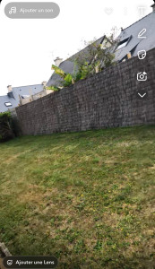 Photo de galerie - Tonte de pelouse 