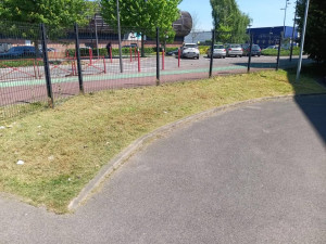 Photo de galerie - Tonte de pelouse - Débroussaillage