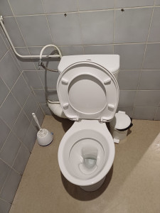 Photo de galerie - Remplacement de wc sans modification de plomberie à la demande du client.