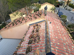 Photo de galerie - Couverture - Toiture