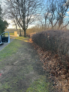 Photo de galerie - Terrassement - Assainissement