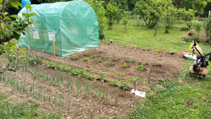 Photo de galerie - Préparation du jardin à la motobineuse 