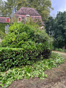 Photo de galerie - Rabattage haie