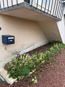 Photo de galerie - Paysagiste - Aménagement du jardin