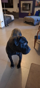 Photo de galerie - Je passe 2 fois par jour pour le nourrir. 