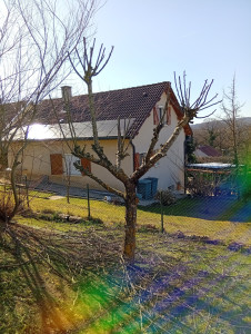 Photo de galerie - Elagage et coupe d'arbres