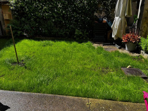 Photo de galerie - Paysagiste - Aménagement du jardin