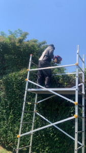 Photo de galerie - Taille de haies et d'arbustes