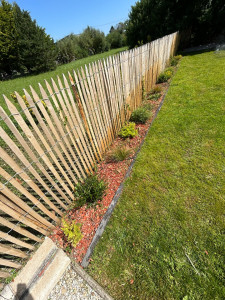 Photo de galerie - Après le désherbage de massif envahi par le liseron