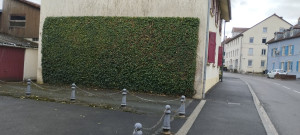Photo de galerie - Taille de lierre sur une façade pour faciliter l'  accès privatif à un garage, et dégager l' accès public du trottoir.