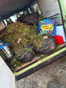 Photo de galerie - Paysagiste 