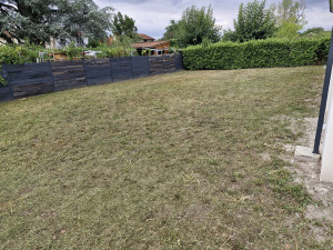 Photo de galerie - Tonte de pelouse - Débroussaillage