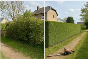 Photo de galerie - Réalisé en novembre 2025 