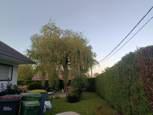 Photo de galerie - Après 