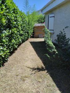 Photo de galerie - Tonte de pelouse - Débroussaillage