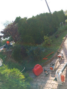 Photo de galerie - Jardinier