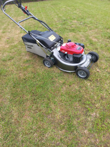 Photo de galerie - Tonte de pelouse 