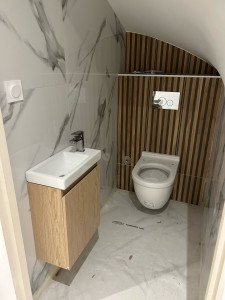 Photo de galerie - Installation d’un WC, suspendu alterna avec cuvette, sans Bride et un lave main