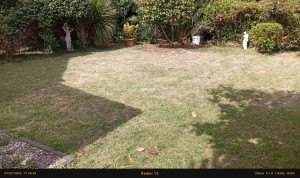 Photo de galerie - Pelouse tondu