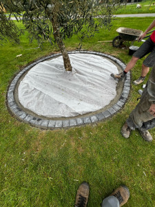 Photo de galerie - Rond en pavé pour délimiter et faciliter l’entretien 