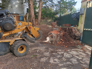 Photo de galerie - Suppression de souche, par rognage 
