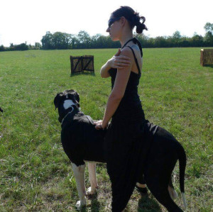 Photo de galerie - Ares