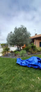 Photo de galerie - Jardinier