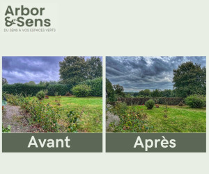 Photo de galerie - Taille de haies et d'arbustes