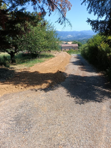 Photo de galerie - Arracher haie, évacuation des déchets et mise à plat du terrain. 