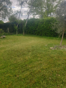 Photo de galerie - Tonte et debroussaillage 