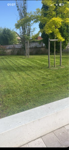 Photo de galerie - Une tonte de pelouse que j’ai réalisé avec une tondeuse classique