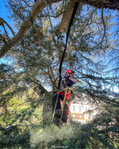 Photo de galerie - Haubanage