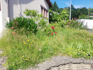 Photo de galerie - Paysagiste - Aménagement du jardin