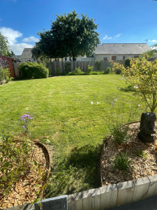 Photo de galerie - Tonte d’une pelouse 