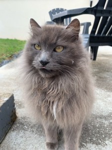 Photo de galerie - Burton en vacances 