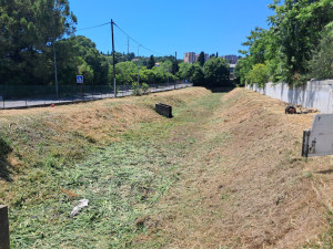 Photo de galerie - Après prestation.